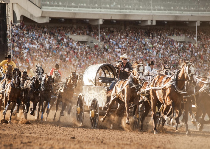 chuckwagon races