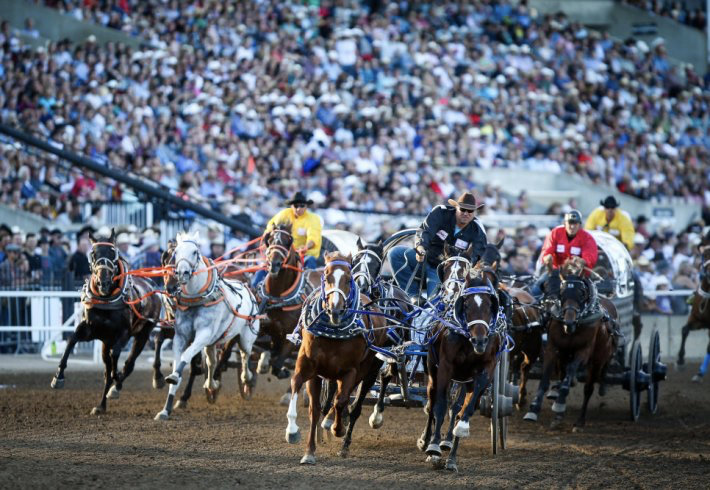 The Chuckwagon show happens nightly at 7:45pm. 9 heats, 27 drivers, 10 nights of ACTION. 
Head to the Calgary Stampede website to meet the drivers. This event is the heart of the Rodeo and a must see.